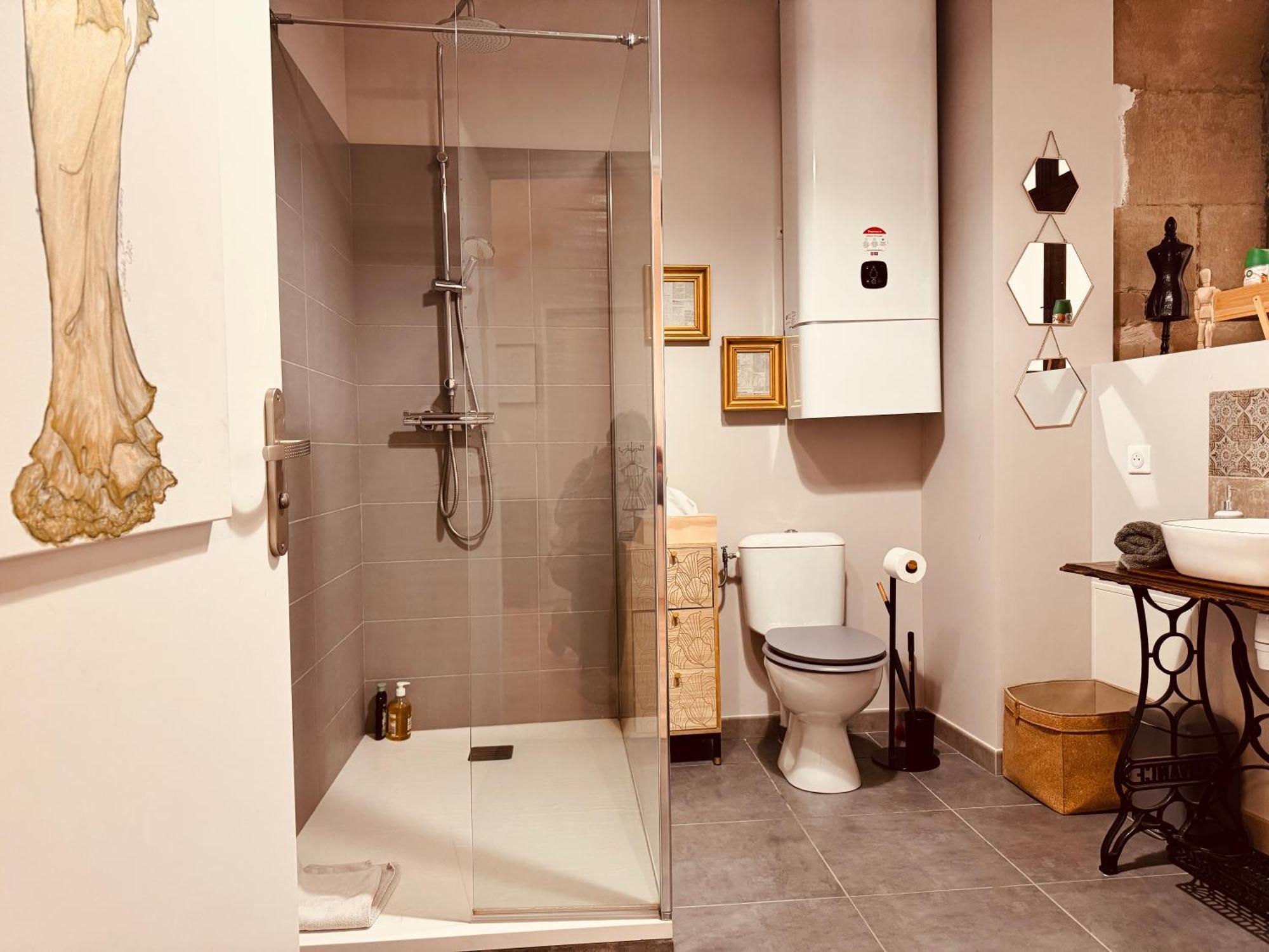Le Tailleur, Centre Historique, Fibre, Climatisation, Ess, Rez-De-Chaussee, Bedinshop Romans-sur-Isere Exterior photo